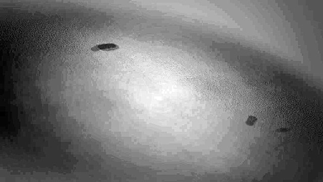 Les corsaires de Dunkerque