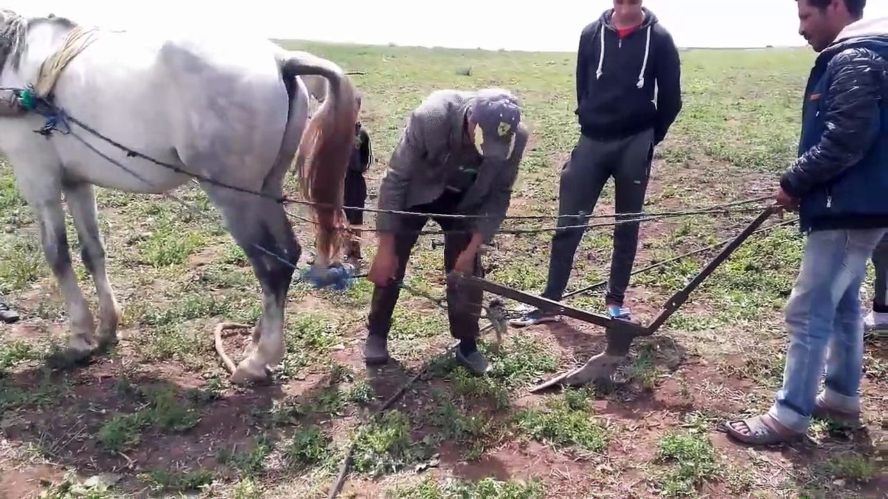 تجديد النية
