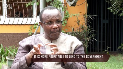 The Goverment Has Borrowed A Lot Of Money In Loans~ David Ndii
