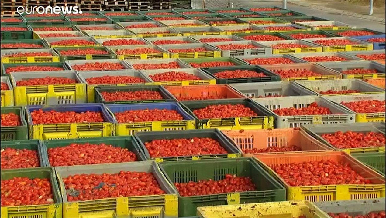 Halbnackte bewerfen sich mit Tomaten