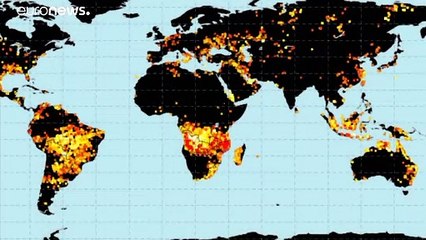 "Não há incêndios por controlar em Angola"