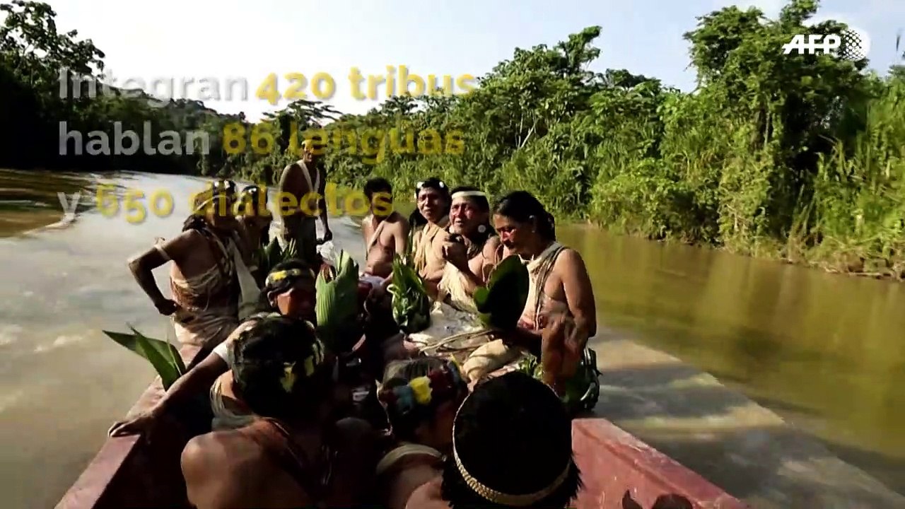 Cinco cosas a saber sobre la Amazonia