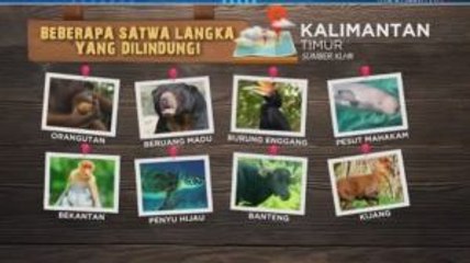 Dampak Pemindahan Ibu Kota Bagi Satwa