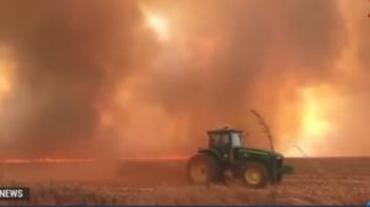 World Leaders Call for Action on Amazon Fire