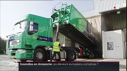Amazonie : l'Europe est-elle également responsable de la déforestation ?