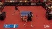 Tomislav Puvar vs Simon Gauzy (TTBL Selected)