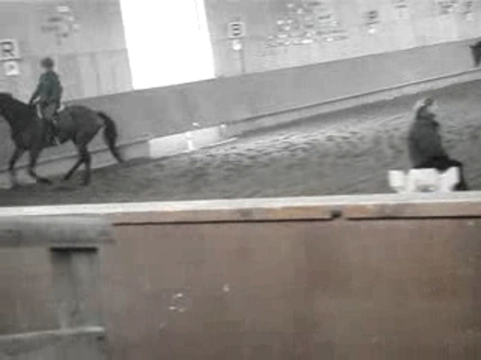 Pallas stage bernadette millot