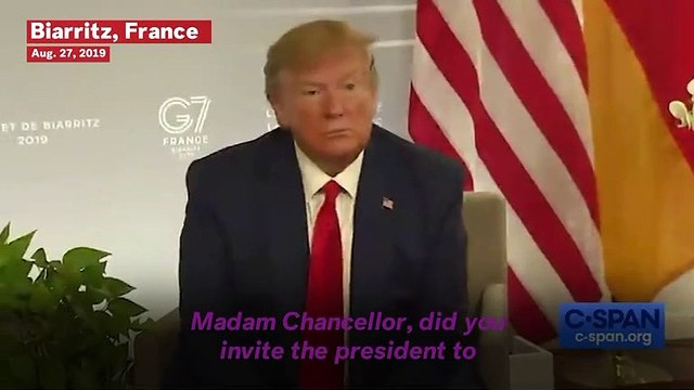 Angel Merkel Snorts As Donald Trump Says He Has 'German In My Blood'