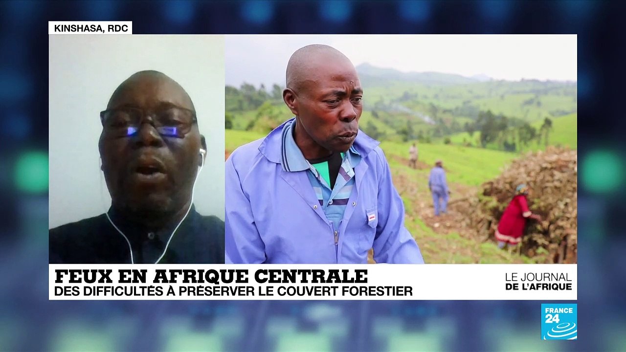 Incendies en Afrique centrale : plus de 10 000 feux recensés en 48 heures en RD Congo et en Angola