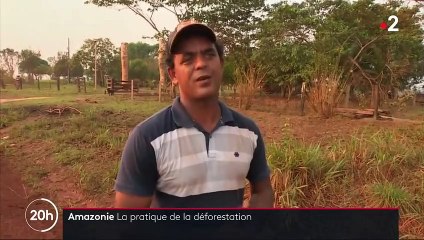 Amazonie : la déforestation, une pratique favorisée par le gouvernement brésilien