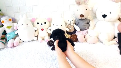 진주출장안마 -후불100%ョOiOV5694V2960｛카톡BRO87｝ 진주전지역출장안마 진주오피걸 진주출장마사지 진주출장안마 진주출장마사지 진주콜걸샵안마 진주출장아로마진주출장안마후기✙￥‰진주출장샵마사지