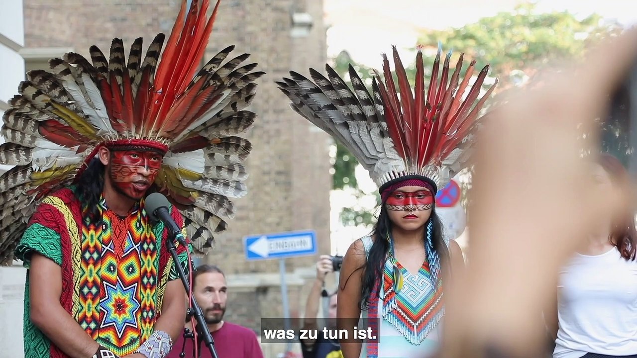 Demo gegen Bolsonaro und Zerstörung des Amazonas