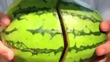 Cette pastèque cache un cadeau très mignon. Regardez !