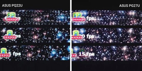 The First OLED Monitor! - ASUS PQ22U