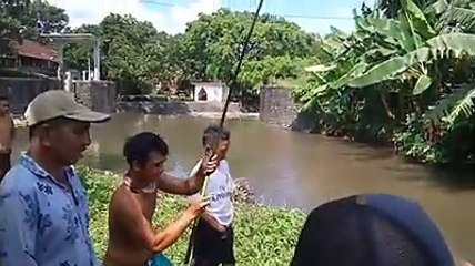 TIDAK SAKA DI SUNGAI INI IKAN NYA BESAR BESAR