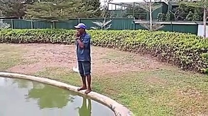 BUAYA TERBESAR DI DUNIA 