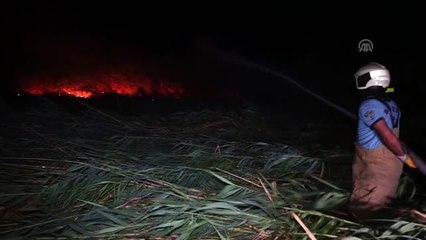 Edremit'te sazlık alanda çıkan yangın söndürüldü