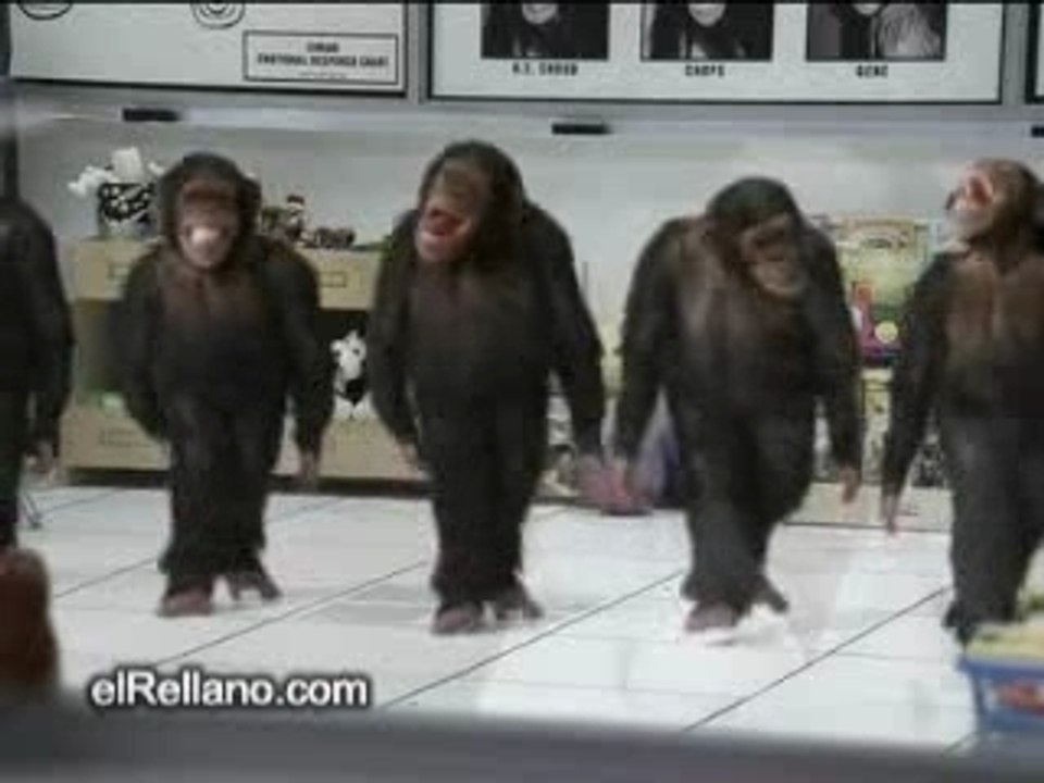 Danse_Celte