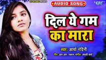 Dil Ye Gum Ka Mara Hai - Judai - Arya Nandini