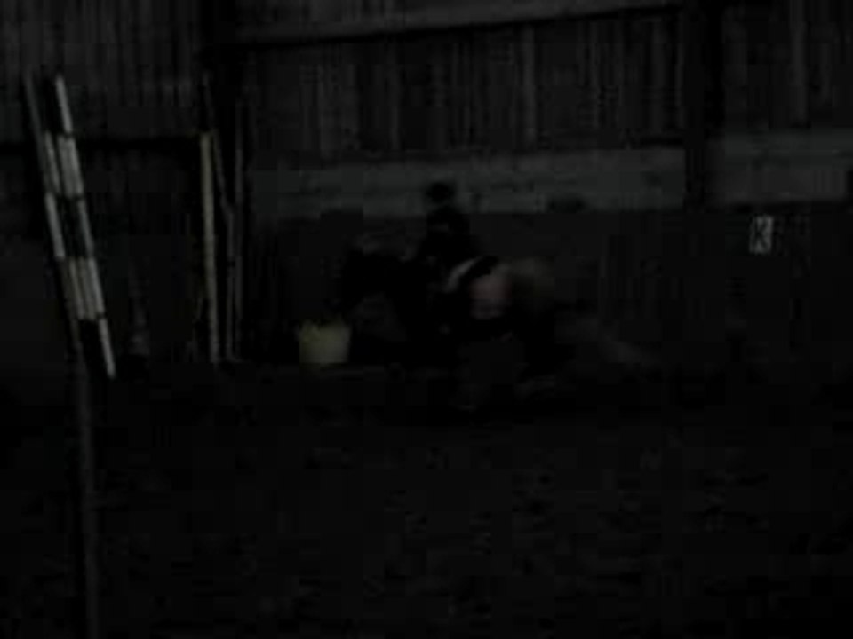 MOV09269