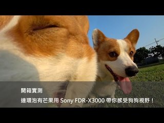 【開箱實測】狗狗視野長什麼樣！連環泡有芒果用 Sony FDR-X3000 帶你看