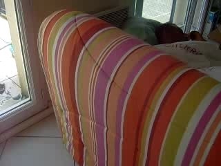 El Farouk: A Brief Overview