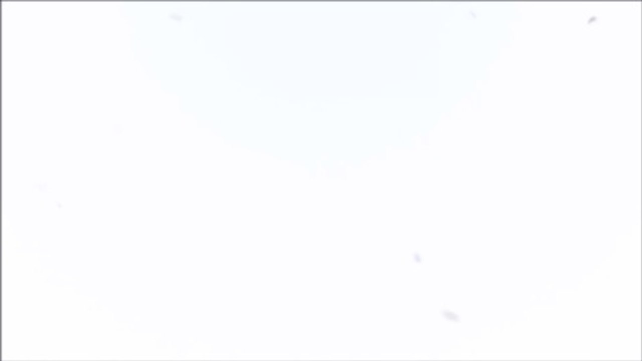 Data Integration Solutions | Rivery