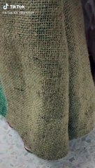 بعد شوال البصل.. "الخيش" بطل موضة فساتين 2019