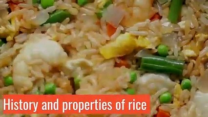 History and properties of rice