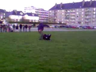chien d attaque ecole de police saint malo