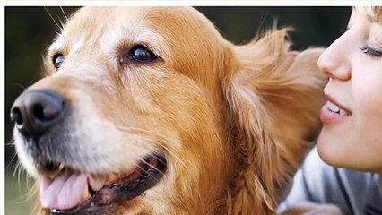 Best Pet Wellness Center in Abbotsford