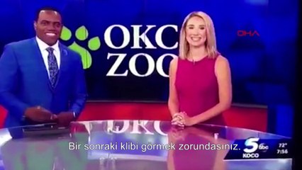 ABD'de kadın sunucu siyah iş arkadaşını gorile benzetti