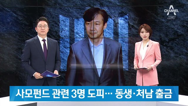 사모펀드 관련 3명 도피…조국 동생·처남 출국금지