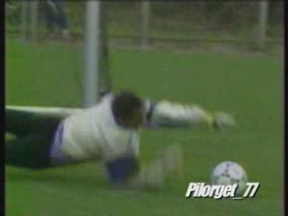 PSG - LAMA ET BORELLI, LES GARDIENS