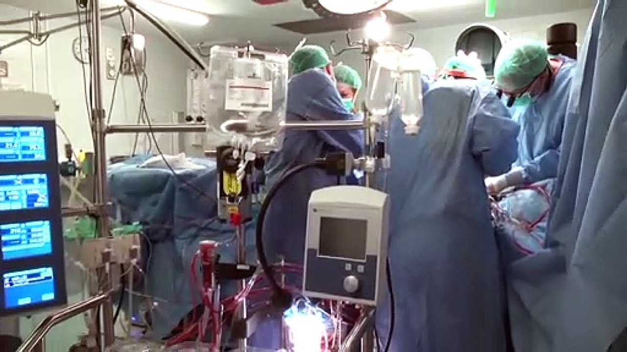 España encabeza la donación de órganos en todo el mundo