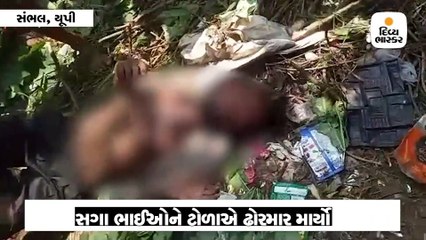 ભત્રીજાને દવાખાને લઈ જતા યુવકોને ટોળાએ બાળક ચોર સમજીને માર્યા, એકનું મોત