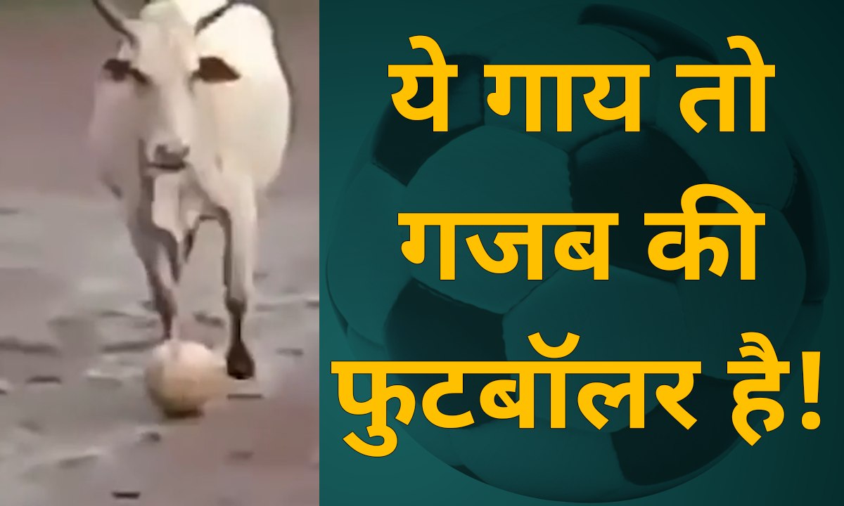 Top 5 viral trends on social media | facebook |twitter| whatsapp