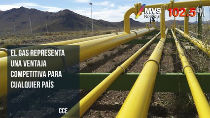 El gas representa una ventaja competitiva para cualquier país: CCE