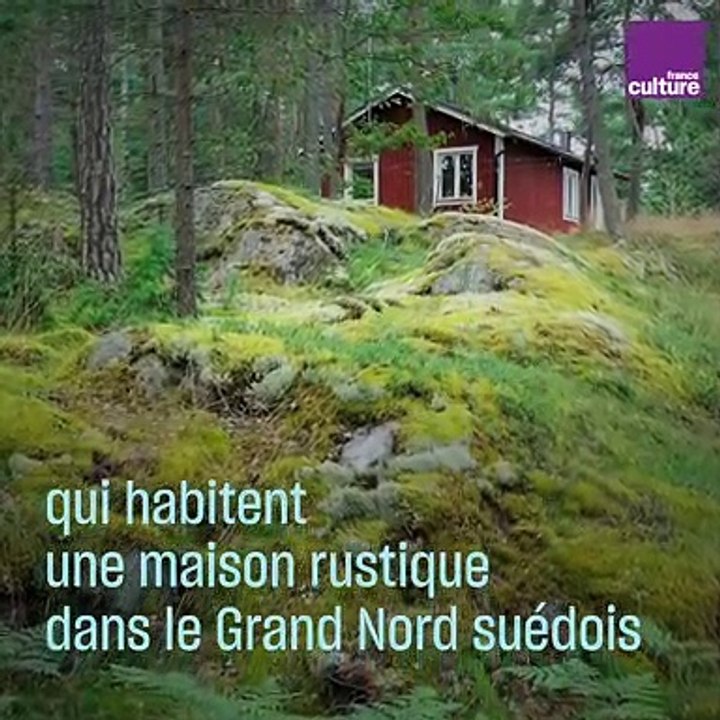 Stieg Larsson, le militant antifasciste qui a réinventé le polar avec Millénium