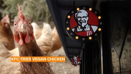 KFC is testing meatless chicken wings and nuggets