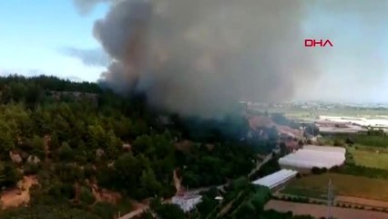 Antalya perge antik kenti yakınında orman yangını