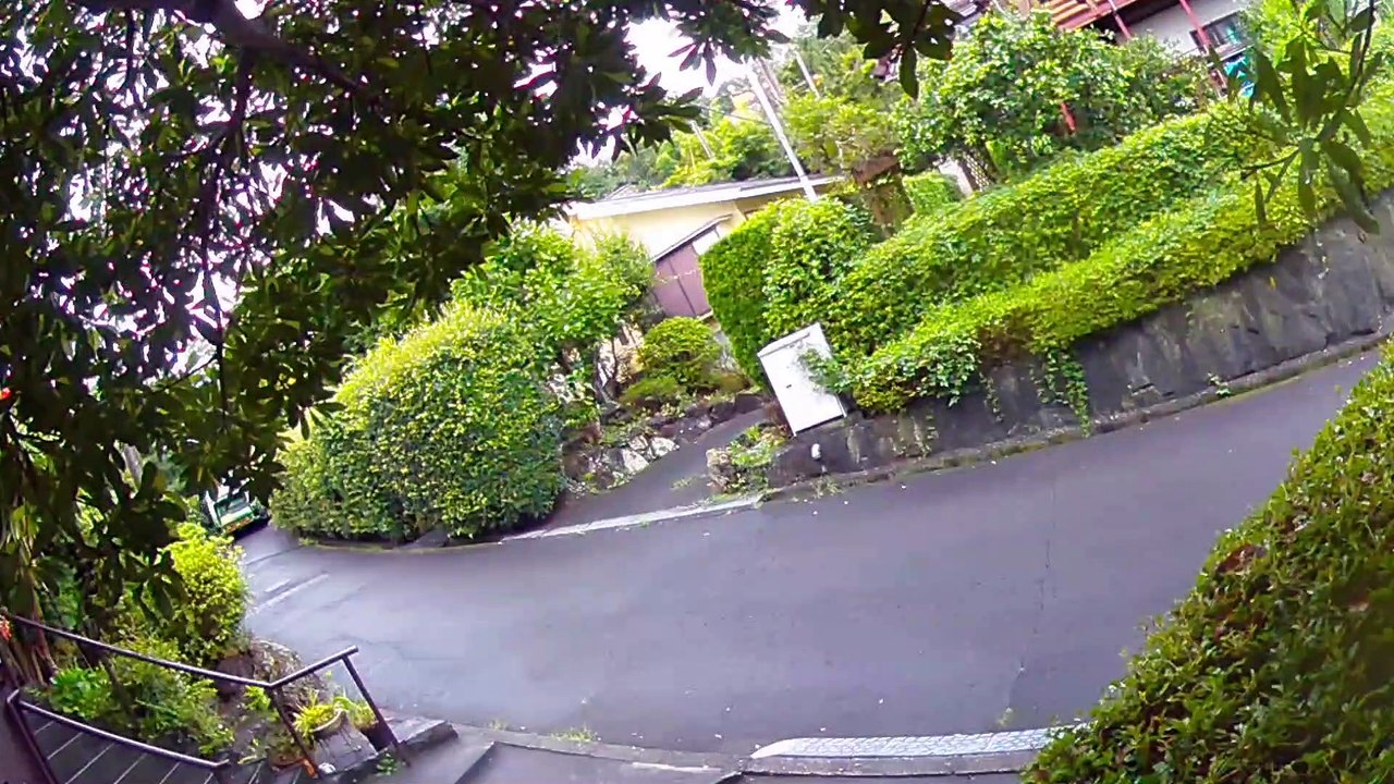EDR August #28 2019 Noisy Tohaiko's Car Column