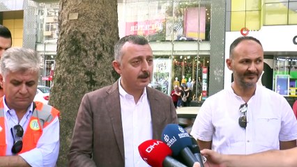İzmit'in asırlık çınarlarının korunması için akademisyenlerle iş birliği yapıldı