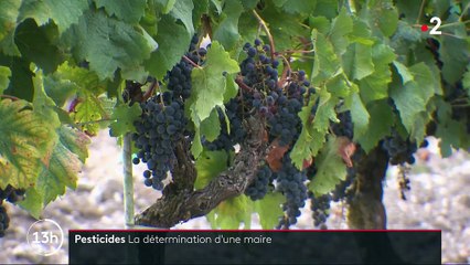 Environnement : une maire déterminée à faire interdire les pesticides dans sa commune