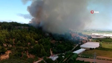 Antalya'da Perge Antik Kent'i yakınındaki orman yangını havadan görüntülendi