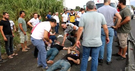 Son dakika: Aydın'da servis otobüsü köpeğe çarpmamak için kaza yaptı: 20 yaralı