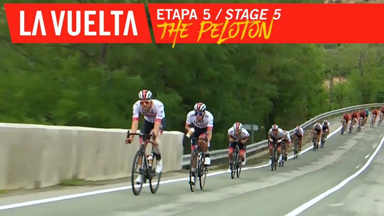 Le peloton/ The peloton - Étape 5 / Stage 5 | La Vuelta 19