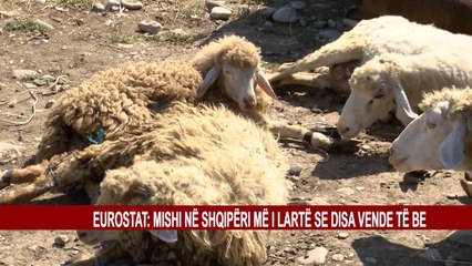EUROSTAT: MISHI NË SHQIPËRI MË I LARTË SE DISA VENDE TË BE