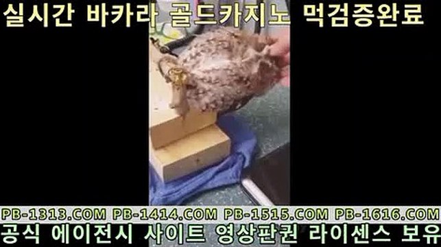 우리카지노 tie33.com pc카지노 tie33.com 도박 tie33.com 아바타전화배팅 tie33.com 바카라필승법 tie33.com 올인구조대 tie33.com 바카라추천 tie33