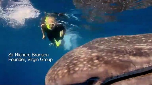 Sir Richard Branson Swims With Whale Sharks In Gulf Of Mexico